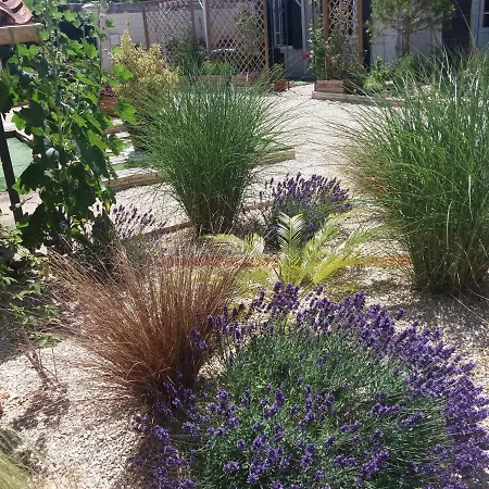Le Clos Des Passiflores - Et Table D'hotes Pons