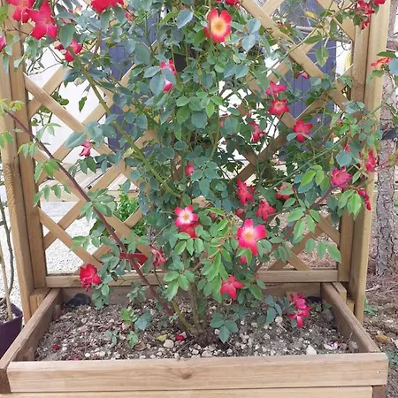 Le Clos Des Passiflores - Et Table D'hotes 3* פונס