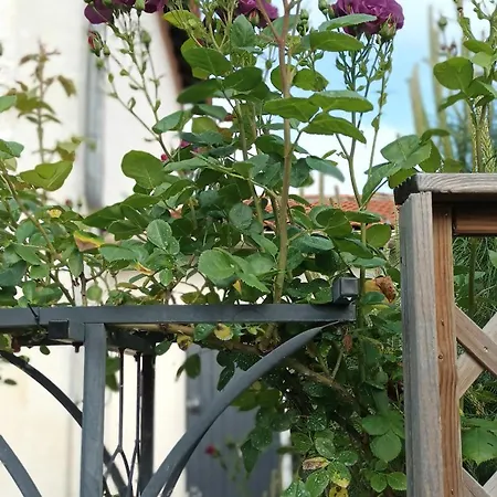 לינה וארוחת בוקר Le Clos Des Passiflores - Et Table D'hotes