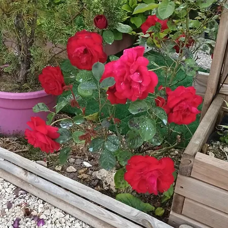 Le Clos Des Passiflores - Et Table D'hotes 3* פונס