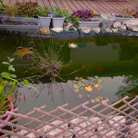 Le Clos Des Passiflores - Et Table D'hotes