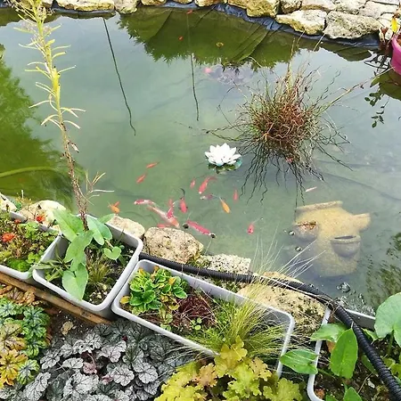 Le Clos Des Passiflores - Et Table D'hotes فندق مبيت وإفطار بونس